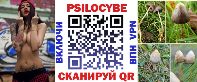Псилоцибиновые грибы Psilocybe  Сосногорск 
